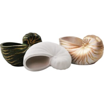 Set 3 Vase Nautilus, diferite culori